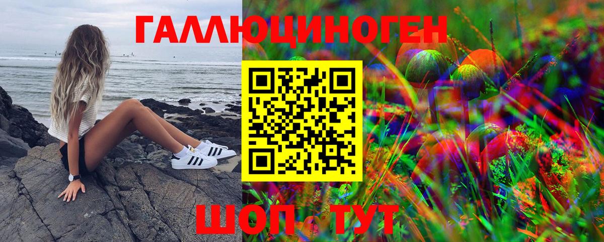 Псилоцибиновые грибы Psilocybine cubensis Алексеевка